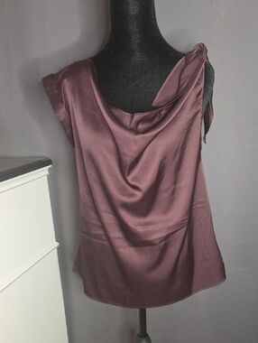 Express Satin Cowl Neck Camisole in Plum